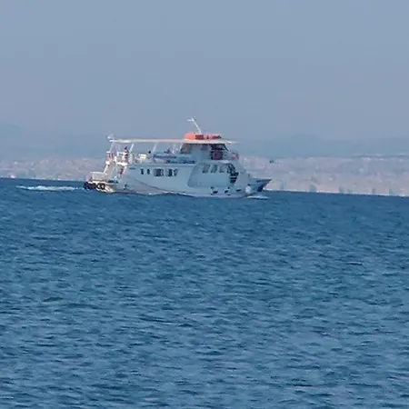 Idearxitektoniki #100 *